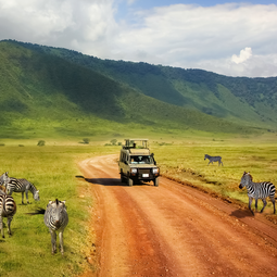 Car Driving on a Safari Drive